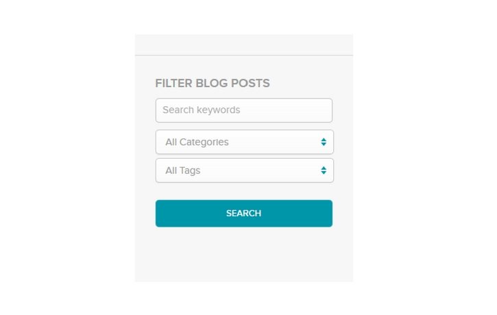 Screentshot of blog search filter