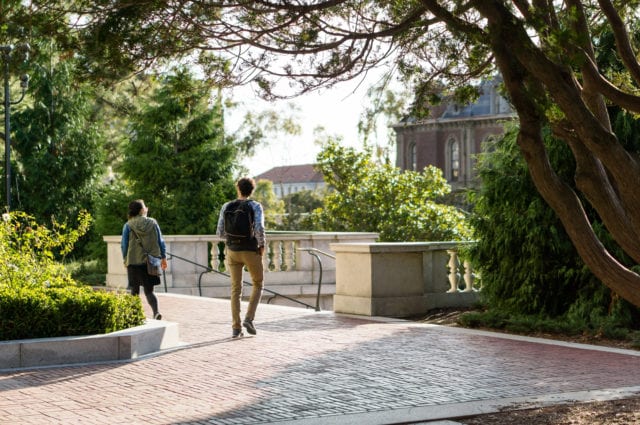male and female students walking on campus