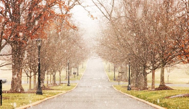 Snowfall at Episcopal High School path
