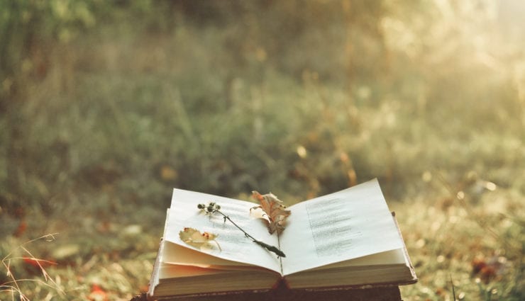 Vintage book of poetry outdoors with fallen leaves on it