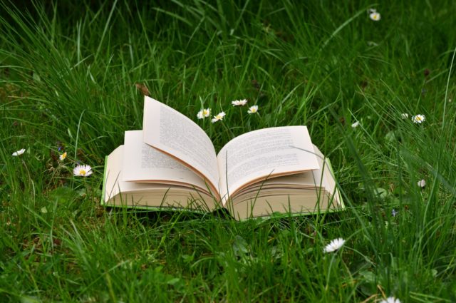 Open book sitting in the grass