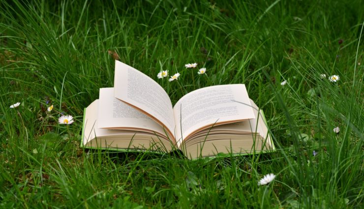 Open book sitting in the grass