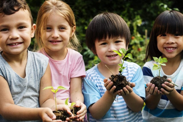 Group of kindergarten kids friends gardening agriculture