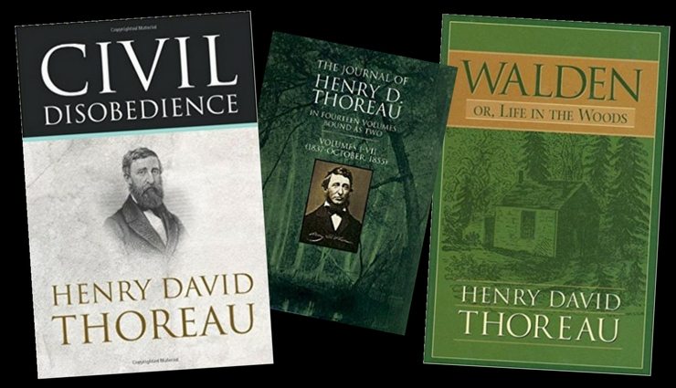 Covers of Thoreau books