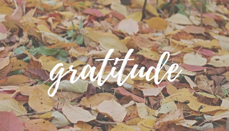 Pile of leaves with word gratitude over it