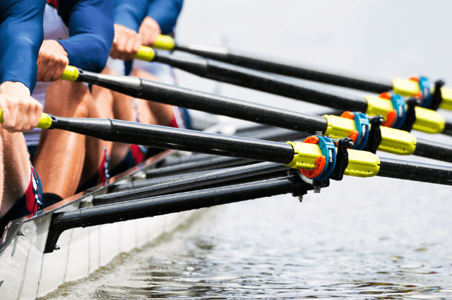 Closeup of rowers' arms using rowing oars