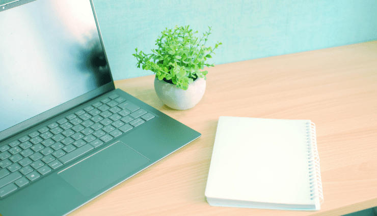 Image of an open laptop with a blank spiral notebook next to it and a small potted plant