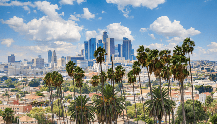 photo of downtown and palm trees