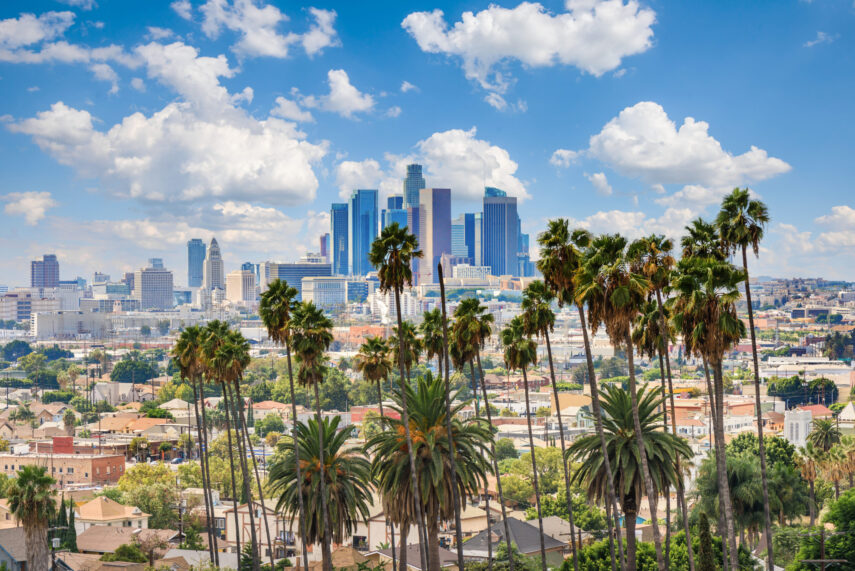 Los Angeles skyline with palm trees in the foreground under a partly cloudy blue sky.