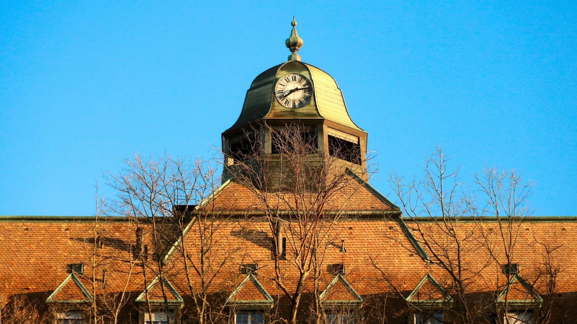 Historic building with a clock tower against a clear blue sky, framed by bare trees in the foreground.