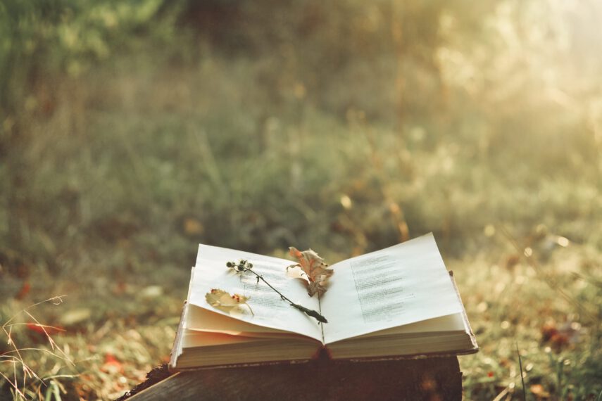 Vintage book of poetry outdoors with fallen leaves on it
