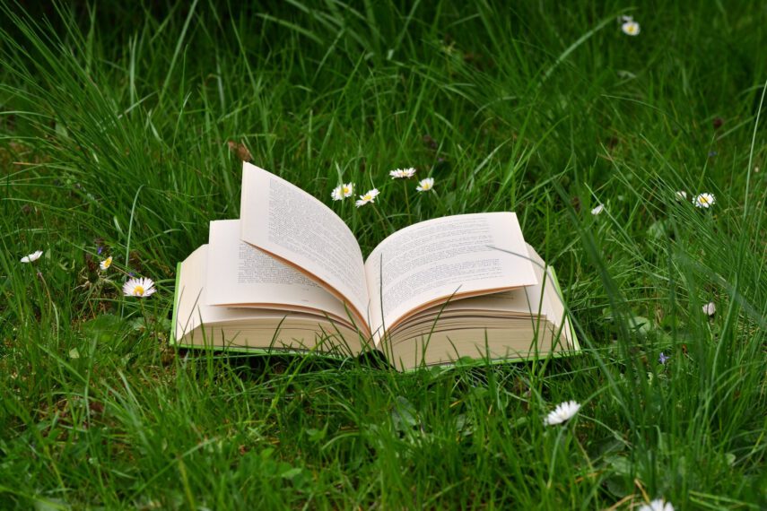 Open book sitting in the grass