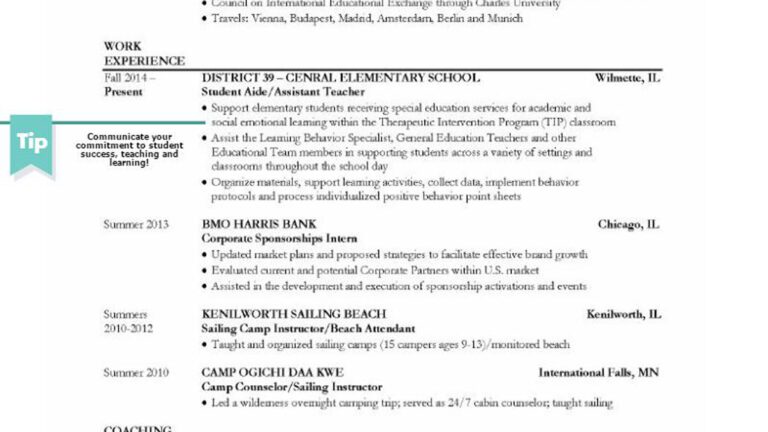 Screenshot of a great resume
