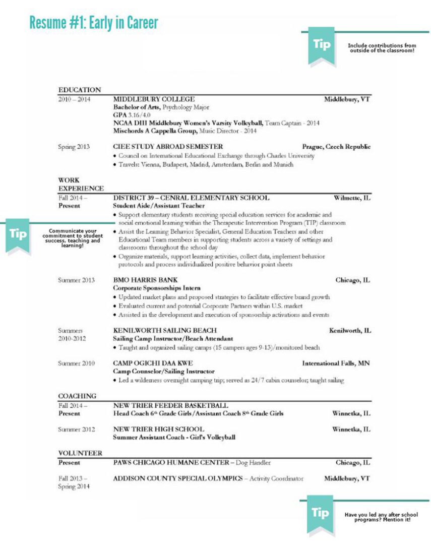 Screenshot of a great resume